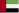 UAE Flag